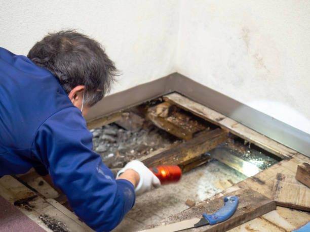 Best Industrial Mold Remediation in Claypool Hill, VA