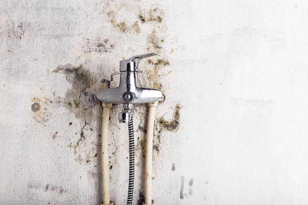 Best Commercial Mold Remediation in Claypool Hill, VA