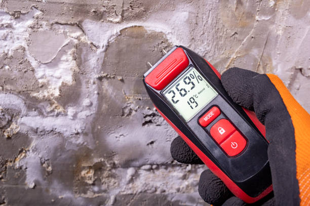 Best HVAC Mold Remediation in Claypool Hill, VA