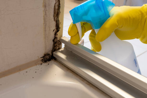 Best Attic Mold Remediation in Claypool Hill, VA