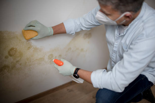 Best Mold Remediation for Schools in Claypool Hill, VA