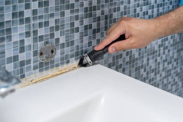 Best DIY Mold Remediation Support Services in Claypool Hill, VA