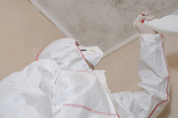 Best Residential Mold Remediation in Claypool Hill, VA