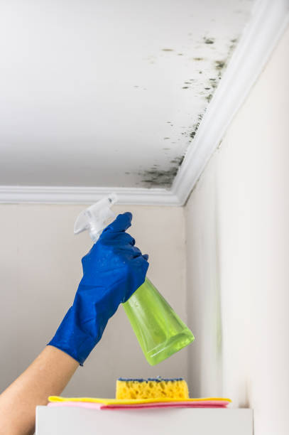 Best Bathroom Mold Remediation in Claypool Hill, VA